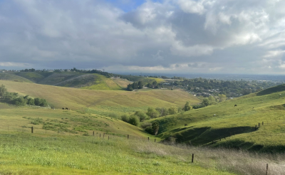 5 Under 5: 5 Summer Hikes Under 5 Miles in the Pomona Area 