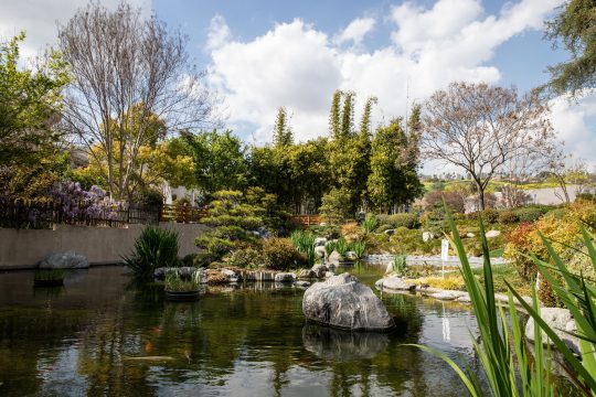 Japanese Garden at Cal Poly Pomona