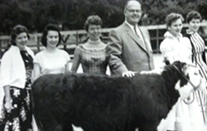 Picture of cow and students
