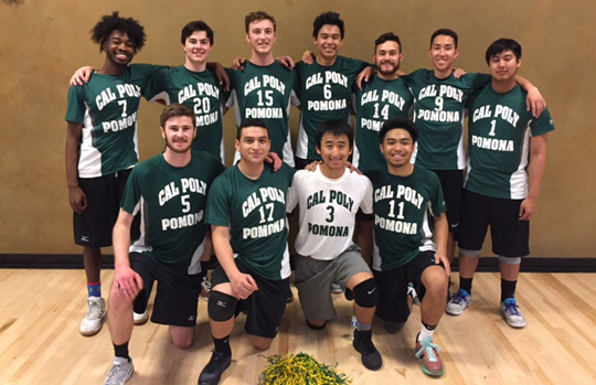 the men's volleyball team