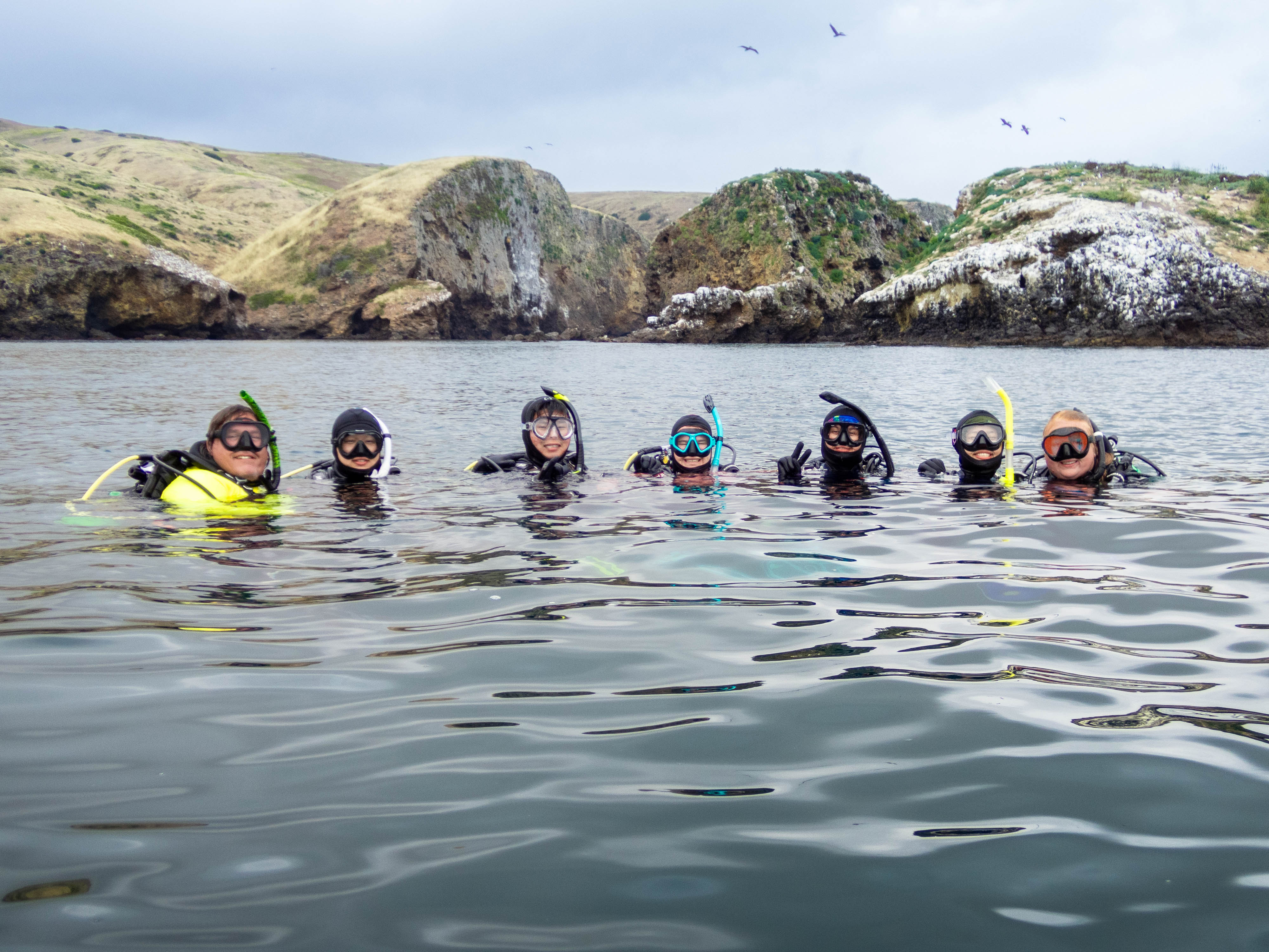 A group of seven scuba divers in wetsuits and snorkeling gear floating on the surface of the sea, with a rocky island in the background.