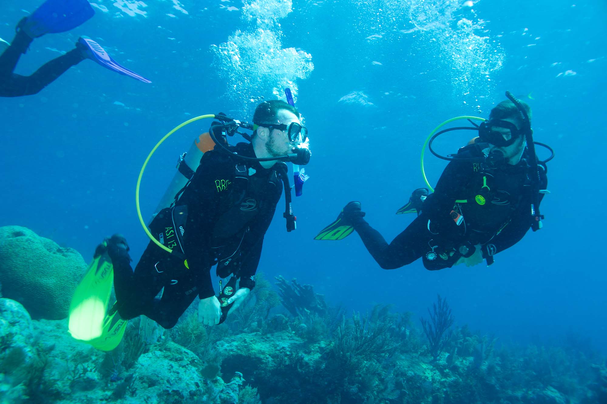 Scuba divers swimming above the ocean reefs