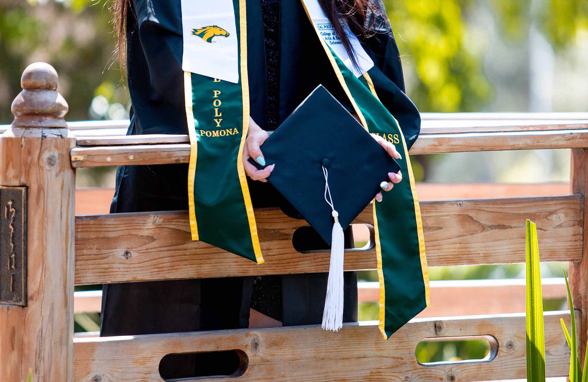 student holding a graduation cap