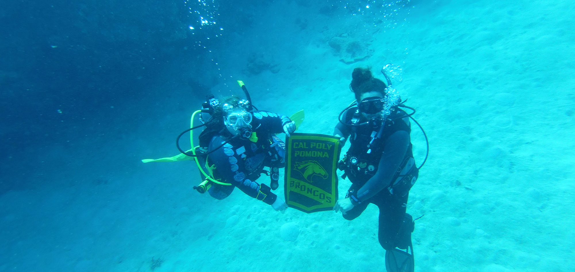 two scuba divers holding a Cal Poly Pomona flag underwater