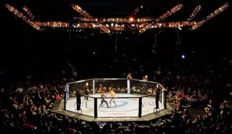  View of the UFC octagon